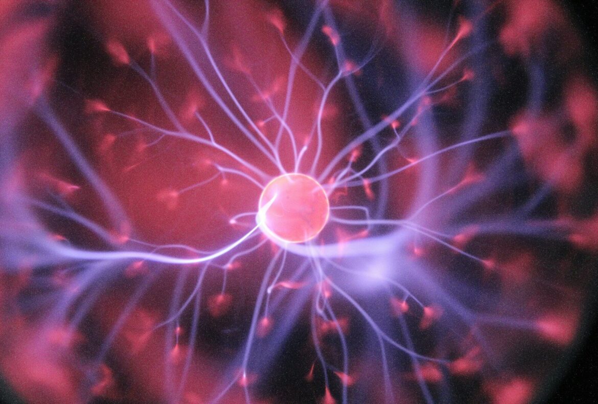 Photo by Hal Gatewood nerve sparing
